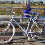 Vengono chiamate ghost bikes, letteralmente �bici fantasma�: sono mezzi verniciati di bianco ornati da un mazzo di fiori e da una targa che rimanda a un nome, quello di un ciclista investito da un�auto in corsa